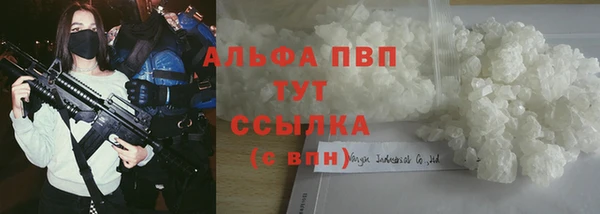 прущие грибы Абинск