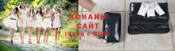 прущие грибы Абинск
