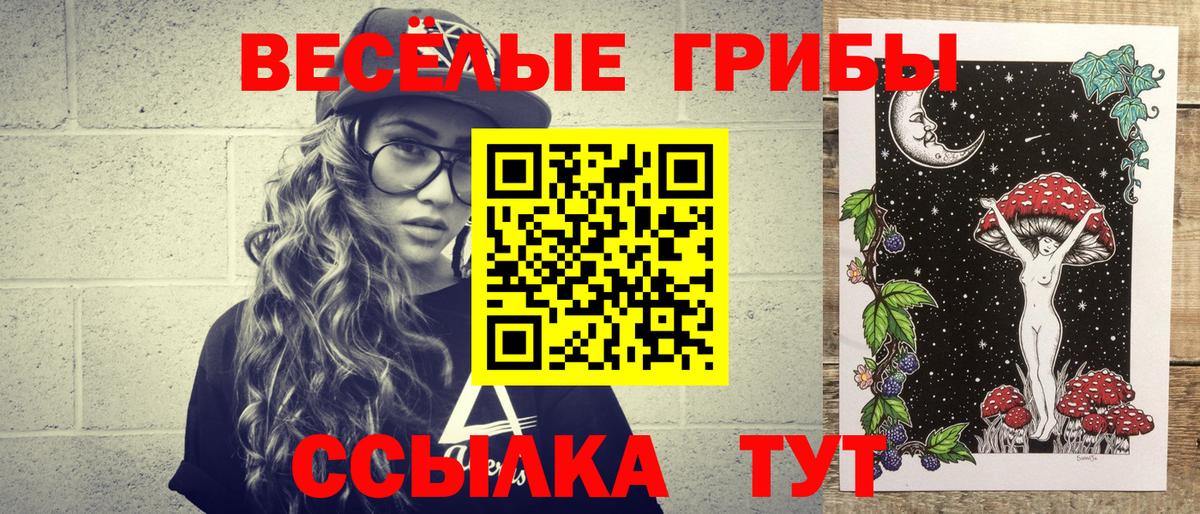 Торжок  Псилоцибиновые грибы Psilocybine cubensis  Вход с VPN 
