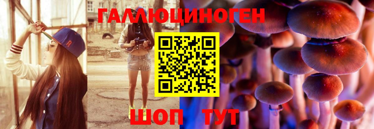 Галлюциногенные грибы мицелий  Псилоцибиновые грибы ЛСД  Вход с VPN  Торжок 